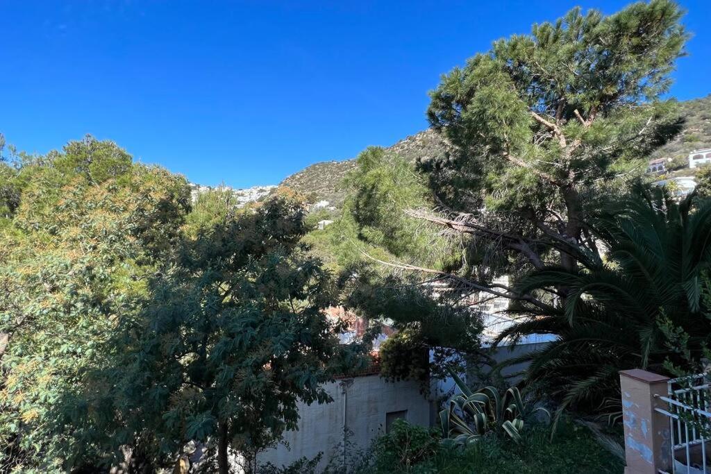 Bonito Piso En Canyelles Appartement Roses